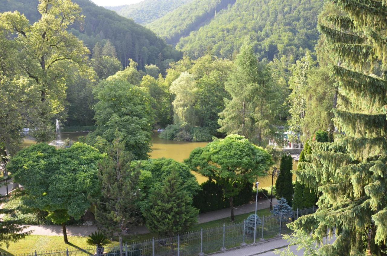 Floravilla Rajecké Teplice Buitenkant foto