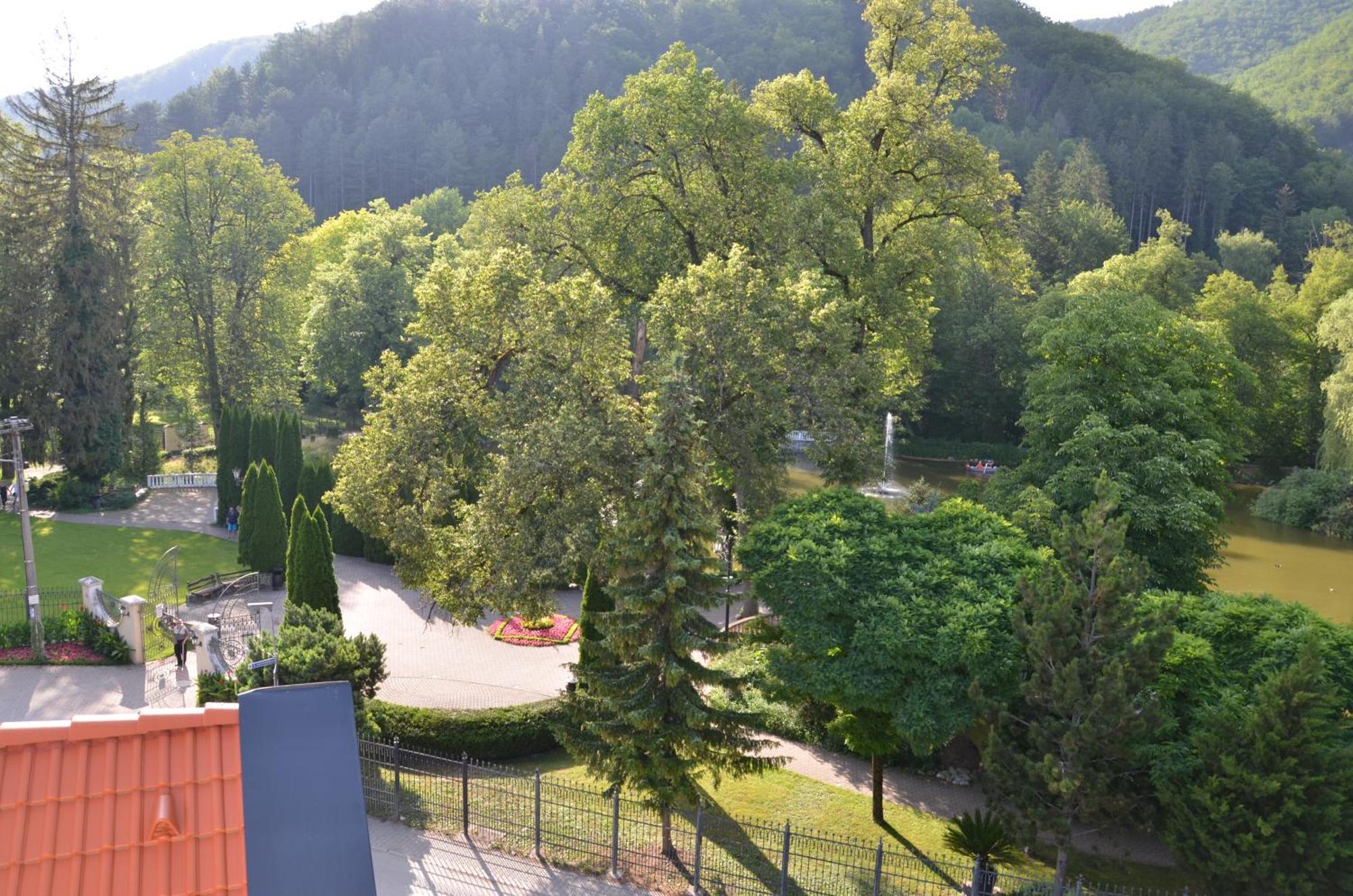 Floravilla Rajecké Teplice Buitenkant foto
